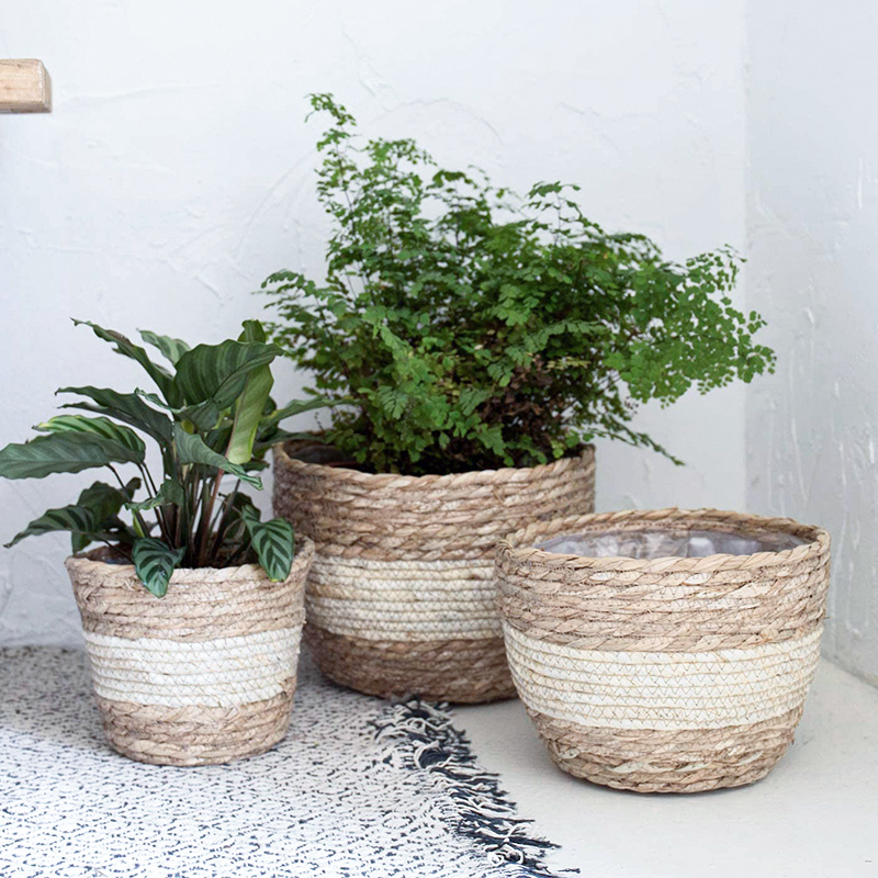 Seagrass Planter Basket Flower - Aloe Vera Pot 评论和价格