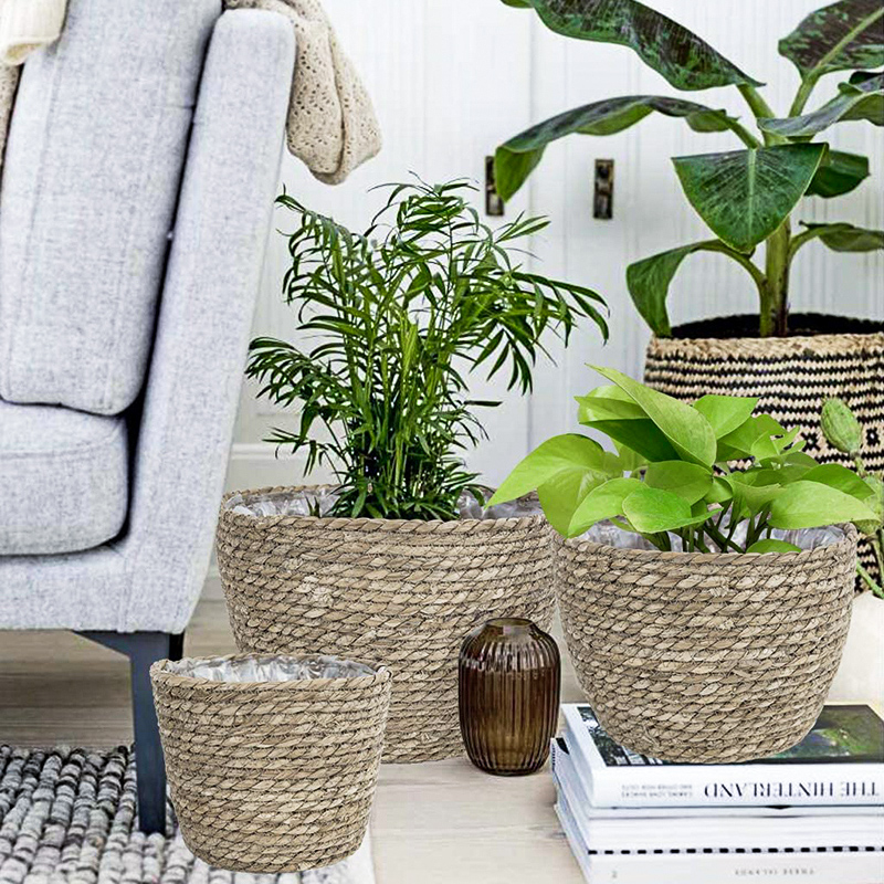 Seagrass Planter Basket Flower - Aloe Vera Pot 评论和价格