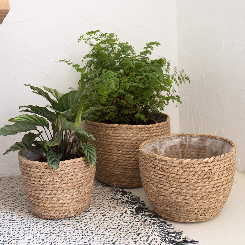 Seagrass Planter Basket Flower - Aloe Vera Pot 评论和价格