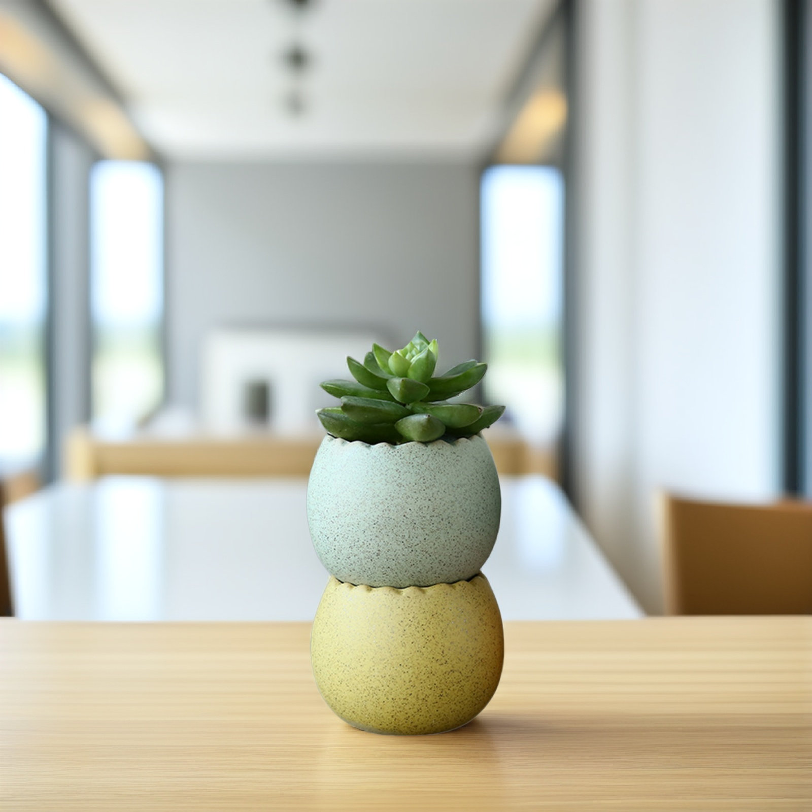 6Pcs Stylish Ceramic Mini Pots - Aloe Vera Pot 评论和价格