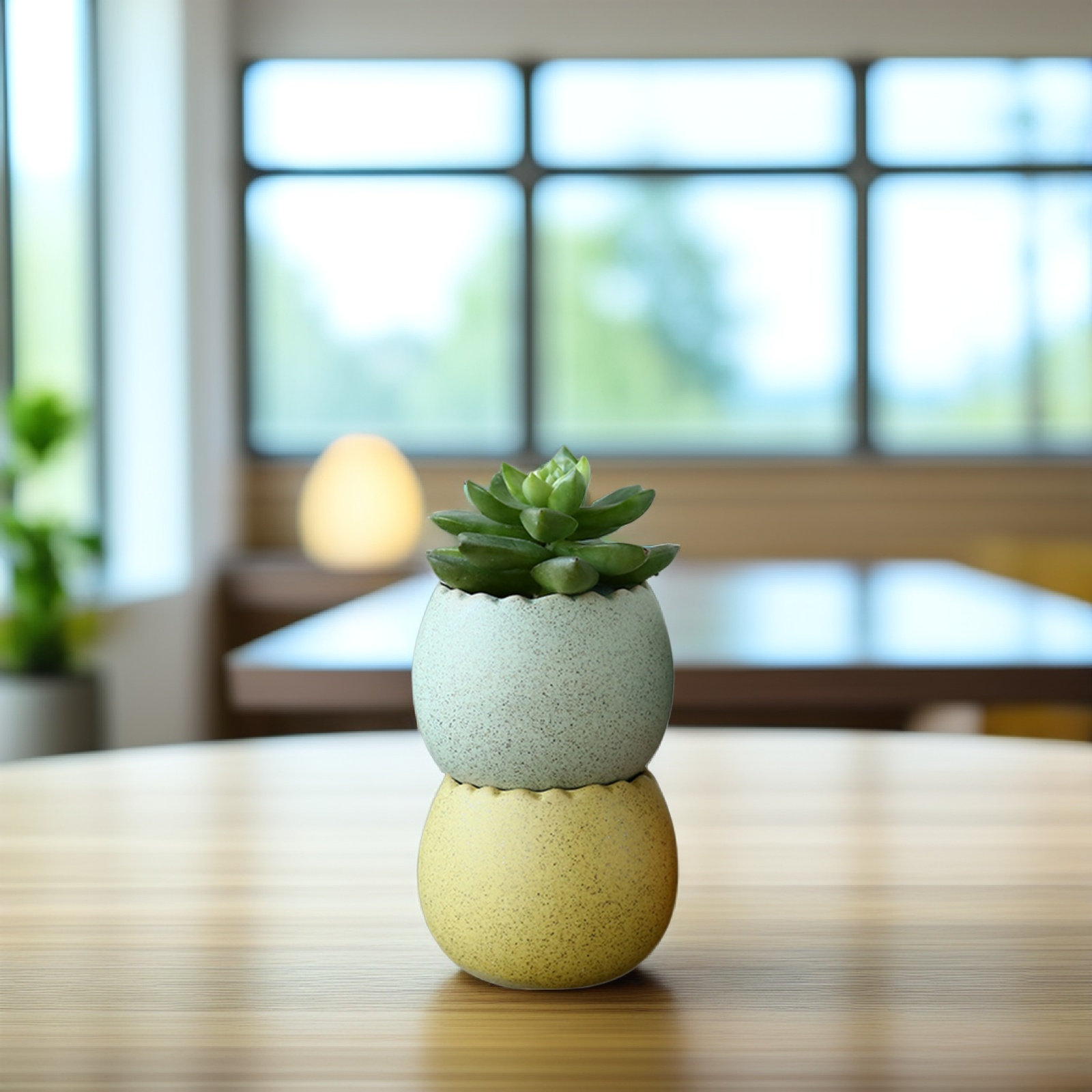 6Pcs Stylish Ceramic Mini Pots - Aloe Vera Pot 评论和价格
