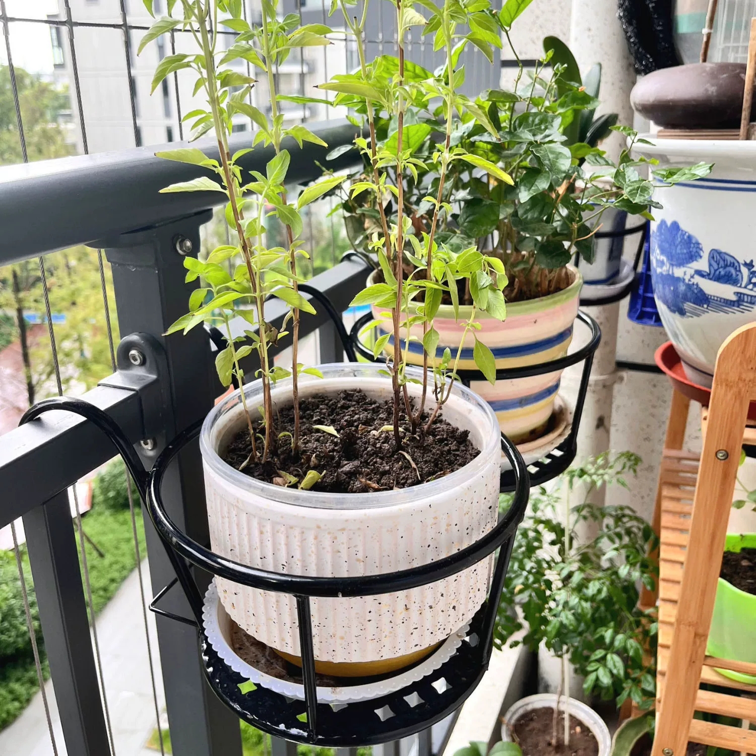 Wrought Iron Balcony Hanging F - Spider Plant Hanging 评论和价格
