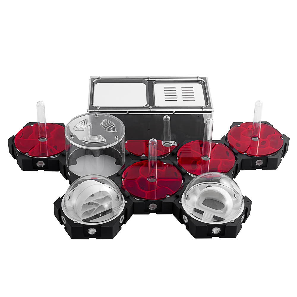 3D Printing Ant Farm Infinitel - Begonia Rex 评论和价格