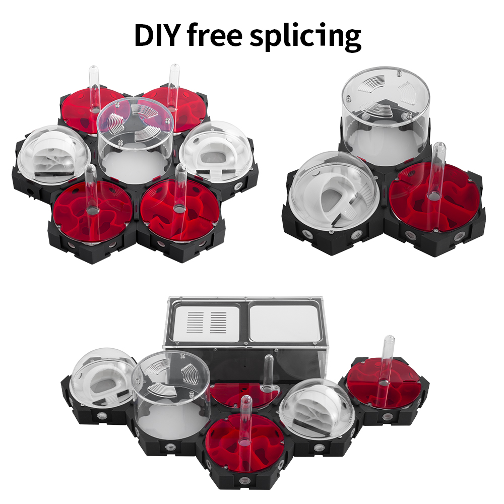 3D Printing Ant Farm Infinitel - Begonia Rex 评论和价格
