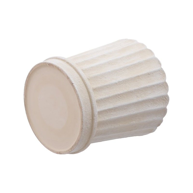 8 Inch Shell Planter Cream Cer - Aloe Vera Pot 评论和价格