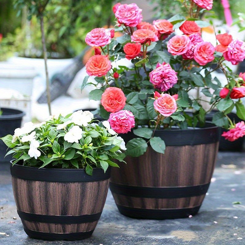 Durable Plastic Round Elegant  - Aloe Vera Pot 评论和价格