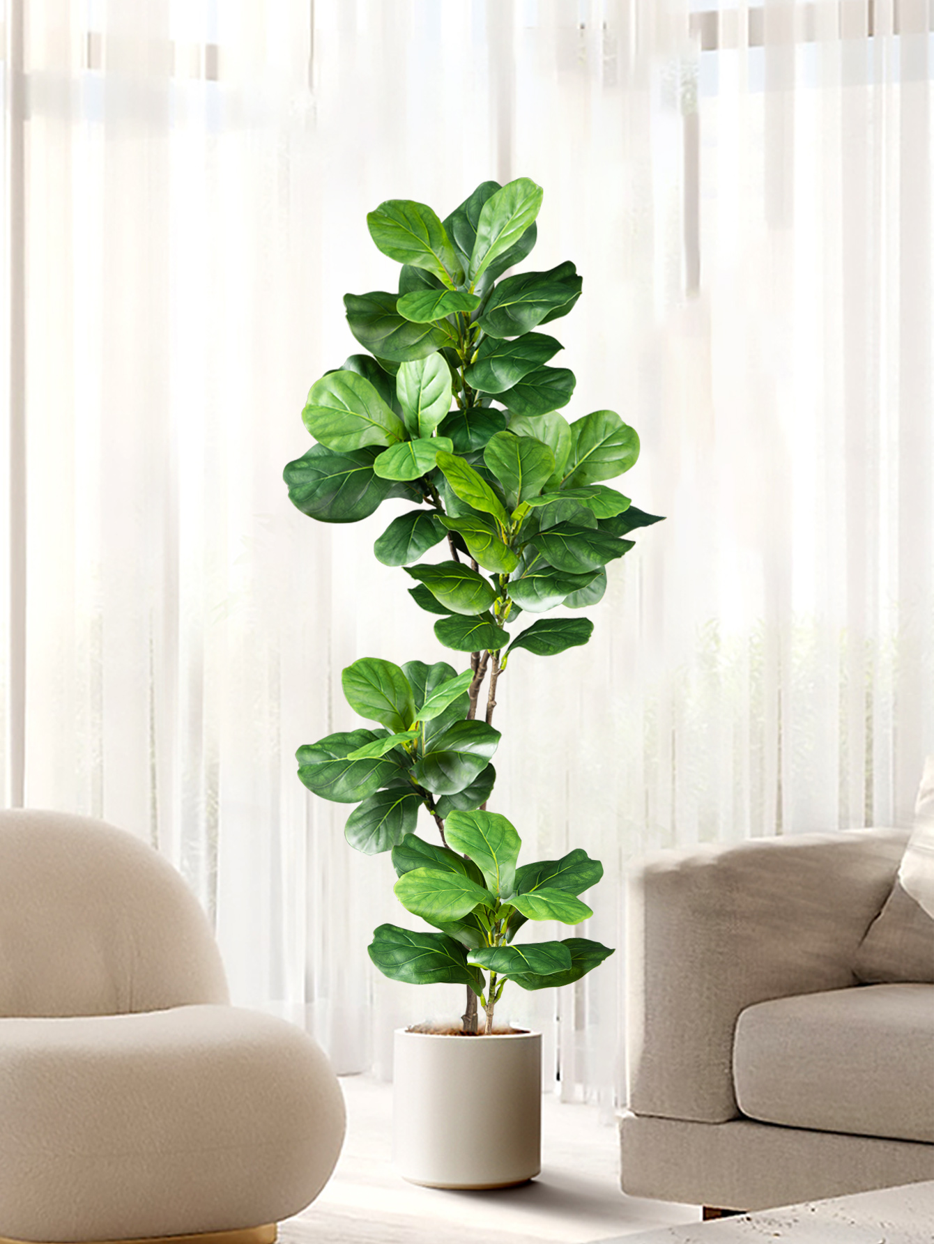 70-135cm Large Artificial Ficu - Dracaena Marginata 评论和价格