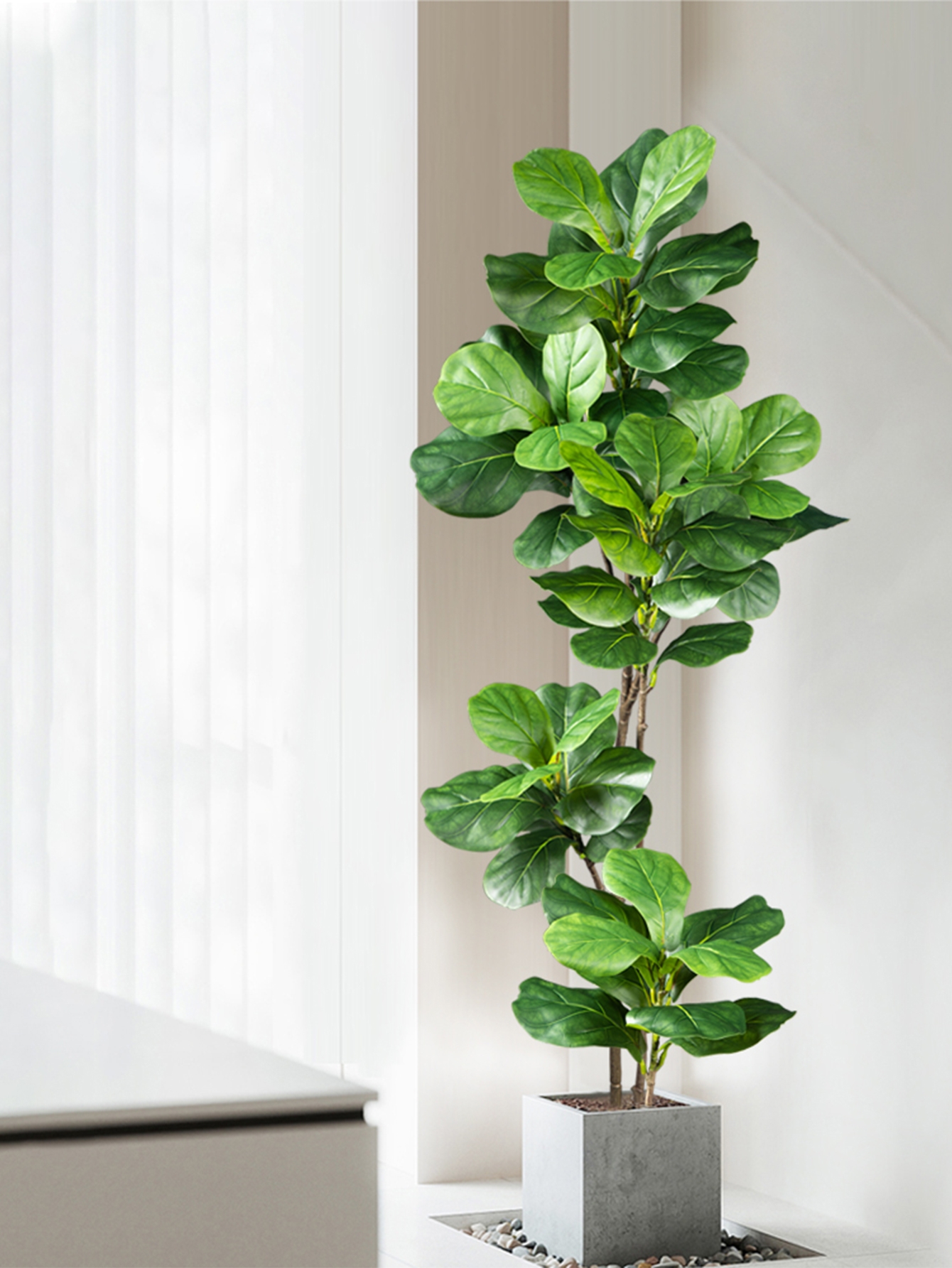 70-135cm Large Artificial Ficu - Dracaena Marginata 评论和价格