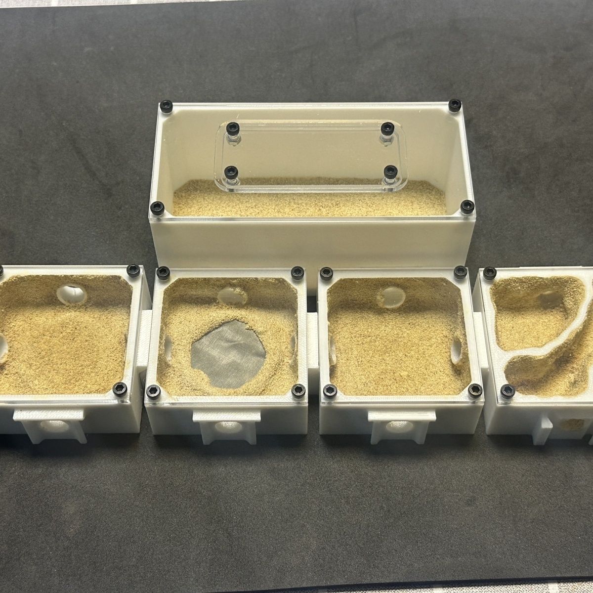 Ants Farm with Water Feeder fo - Begonia Rex 评论和价格