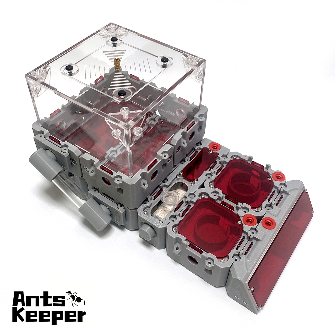 【Lego】Expandable Modular Formi - Begonia Rex 评论和价格