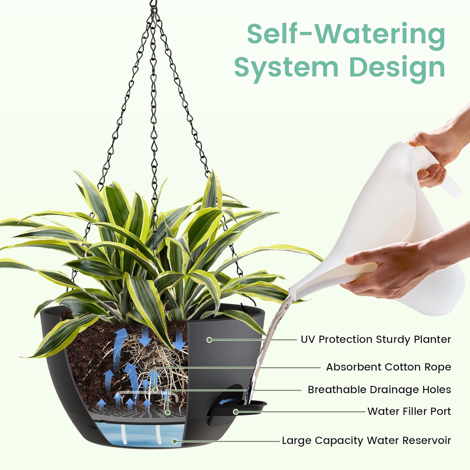 8 Inch Self Watering Hanging P - Spider Plant Hanging 评论和价格