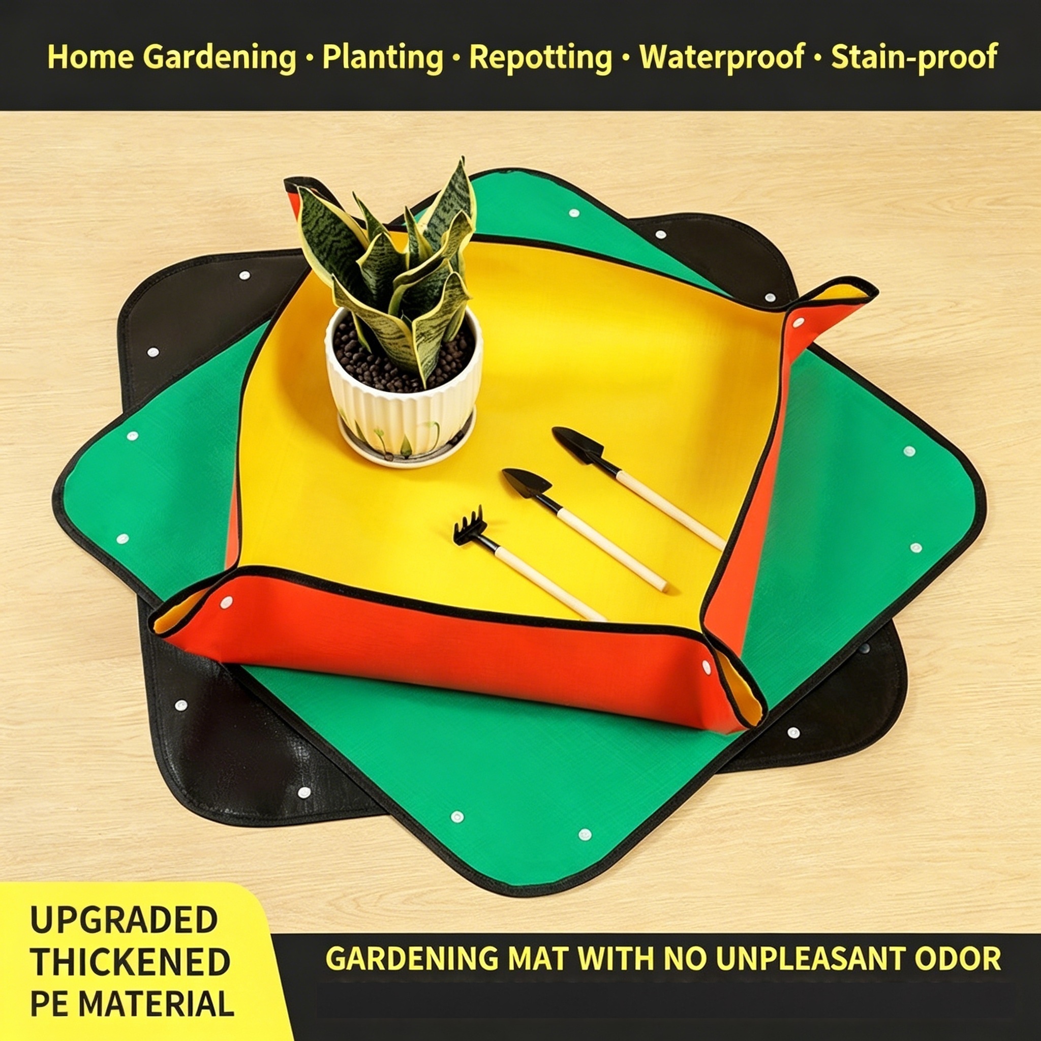 Plant Repotting Mat, Waterproo - Echeveria Succulent 评论和价格