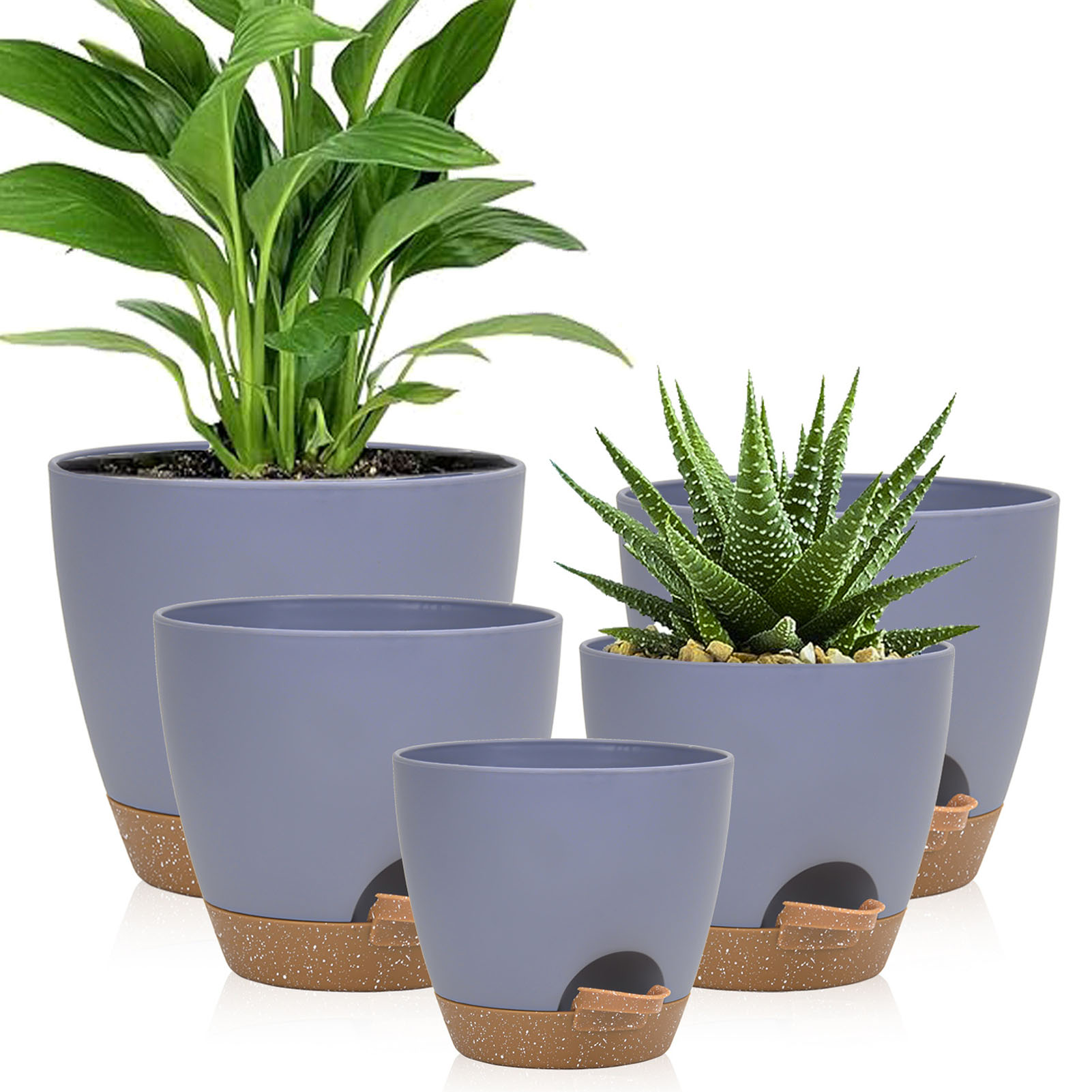 5piece Indoor Flower Pots With - Aloe Vera Pot 评论和价格