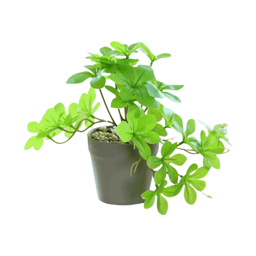 Bonsai Artificial Bonsai Plant - Spider Plant Hanging 评论和价格