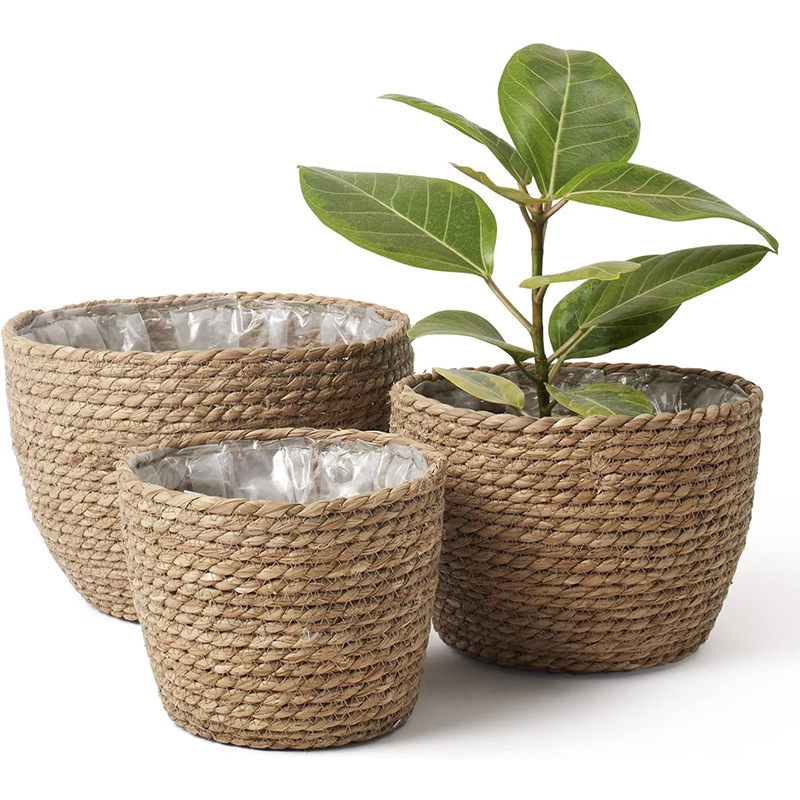 Natural Woven Flower Basket St - Aloe Vera Pot 评论和价格