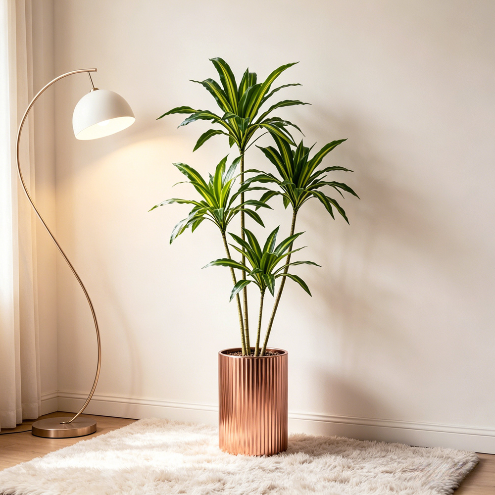 80-165cm Large Artifcial Draca - Dracaena Marginata 评论和价格