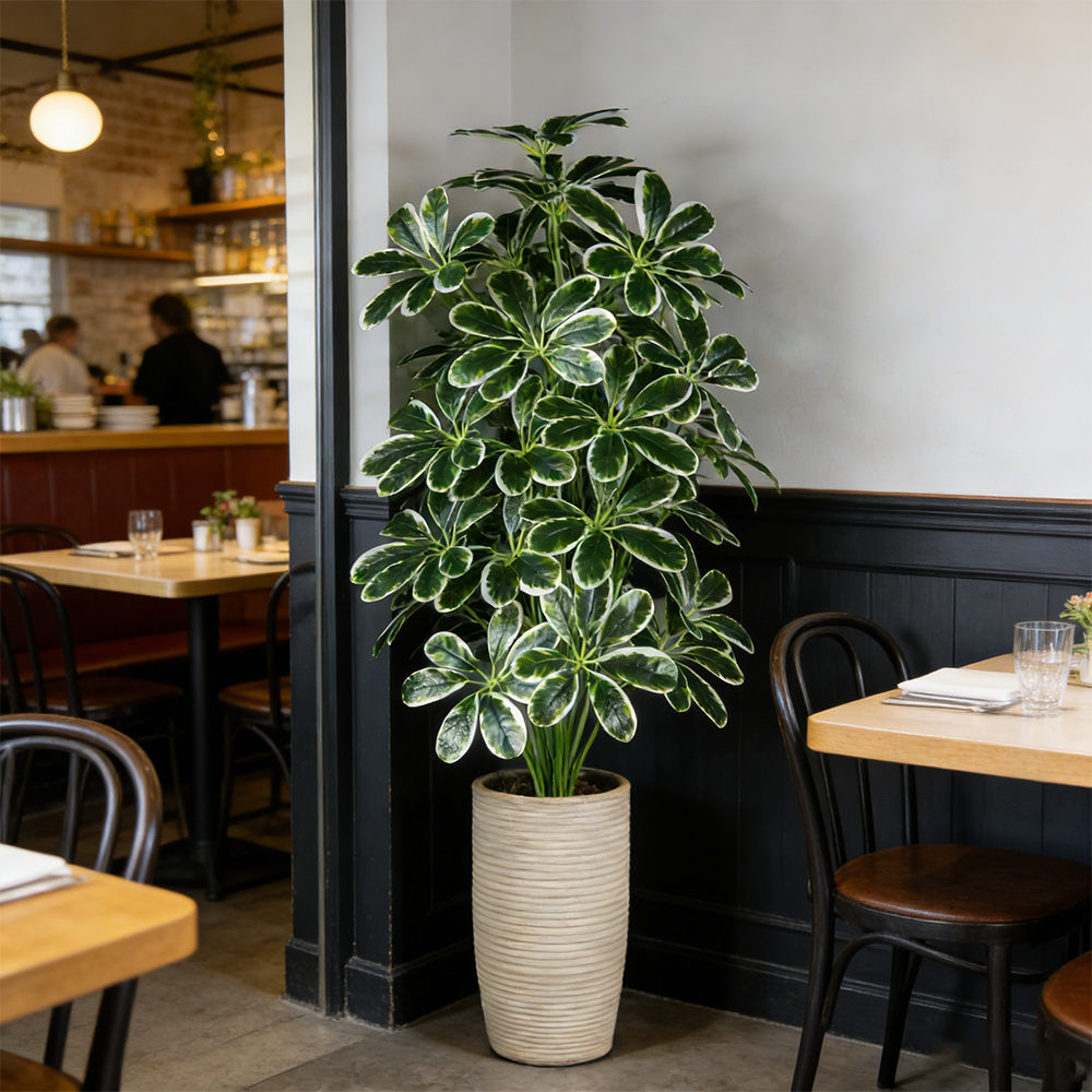 50-75cm Artifficial Maranta Pl - Dracaena Marginata 评论和价格