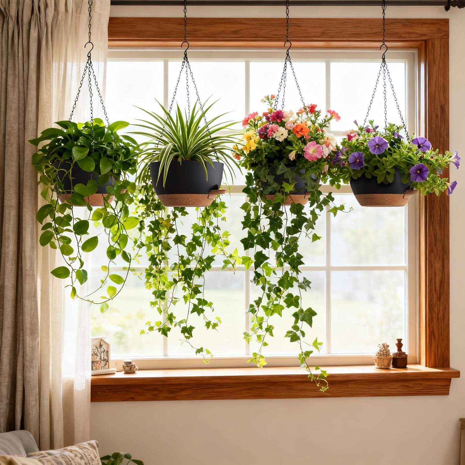 Self Watering Hanging Planters - Spider Plant Hanging 评论和价格