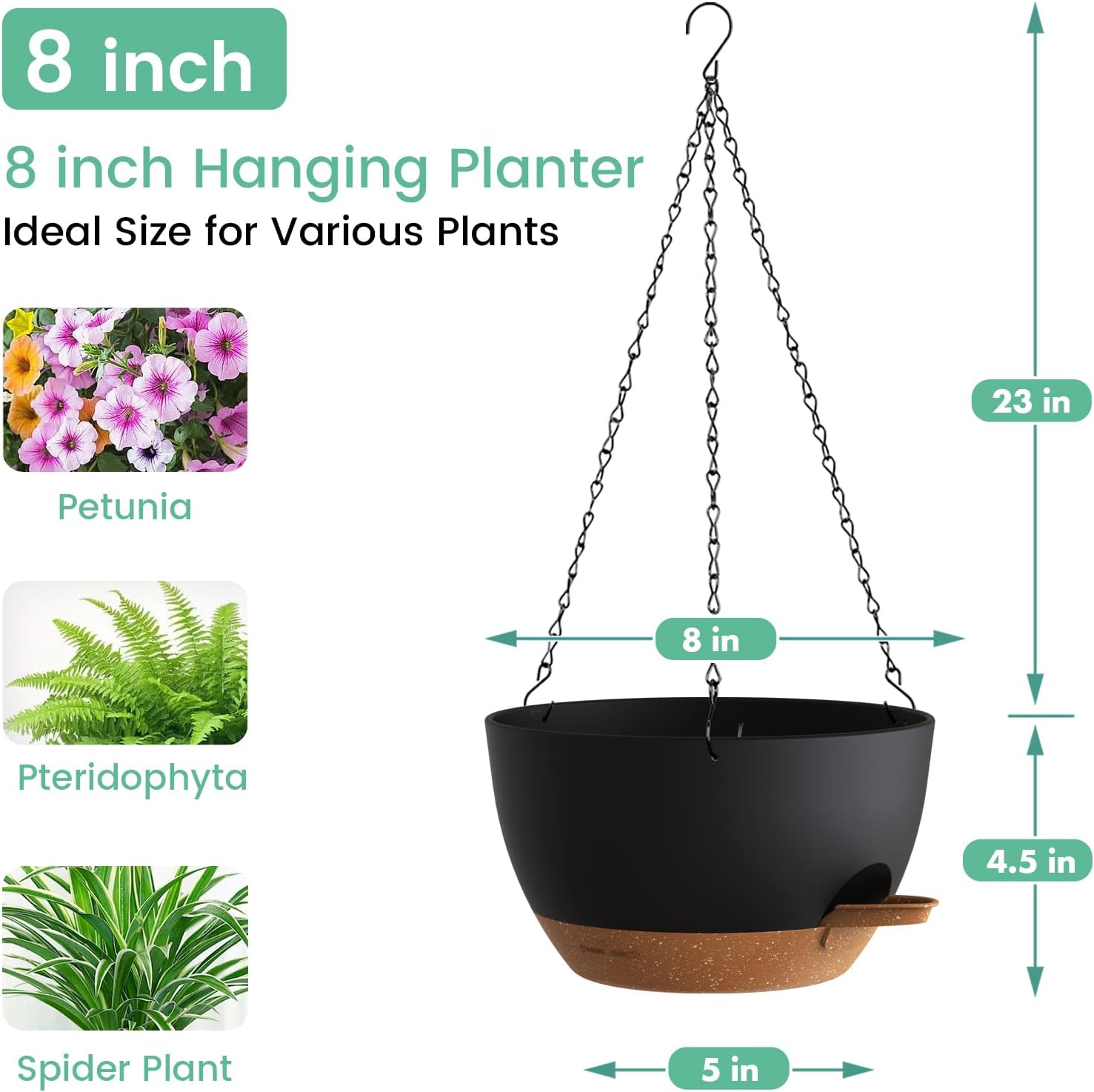 Self Watering Hanging Planters - Spider Plant Hanging 评论和价格