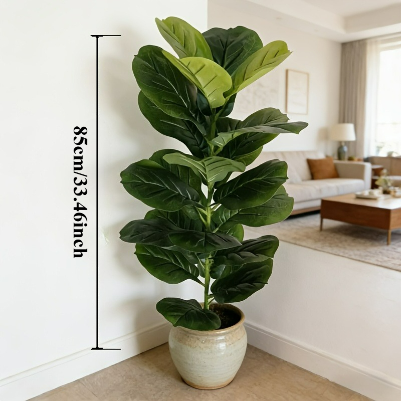 1pc of 85cm Artificial Ficus L - Dracaena Marginata 评论和价格