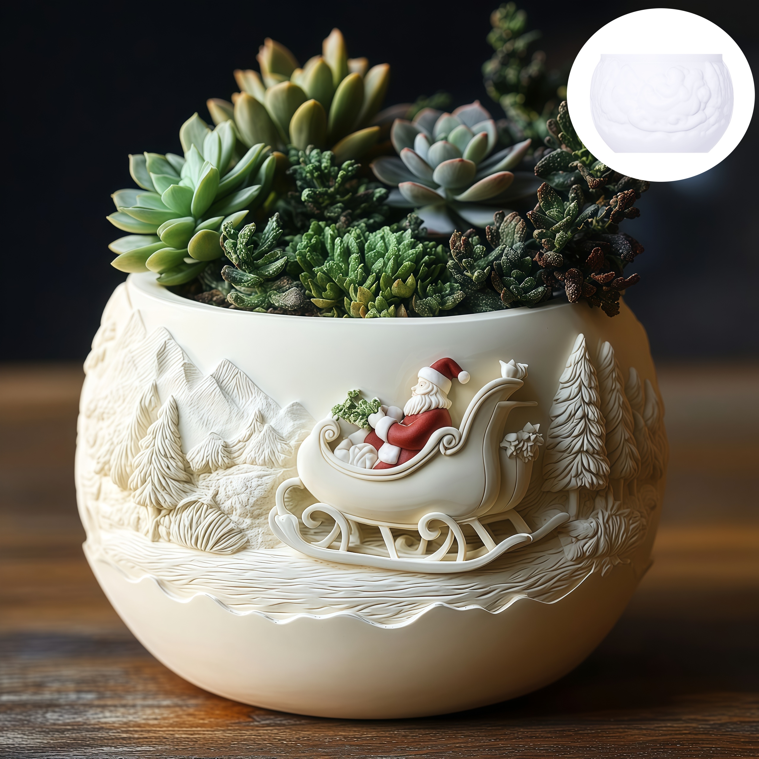 Cedar Sled Santa Claus Relief  - Echeveria Succulent 评论和价格