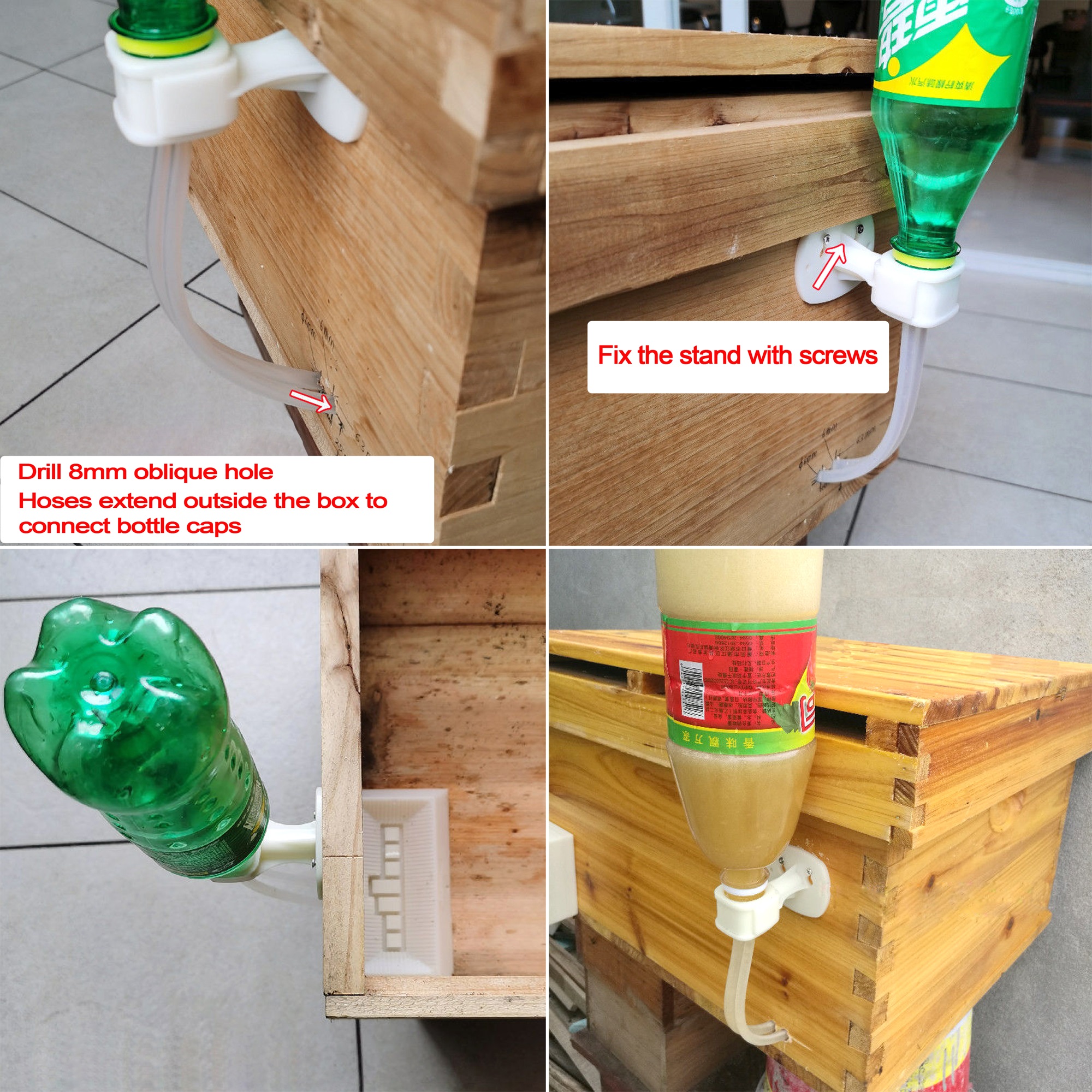 2Pcs Automatic Feeding Drinker - Begonia Rex 评论和价格