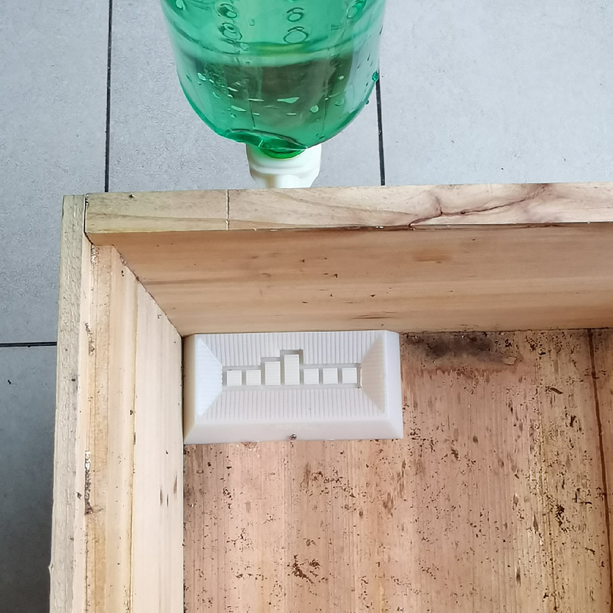 2Pcs Automatic Feeding Drinker - Begonia Rex 评论和价格