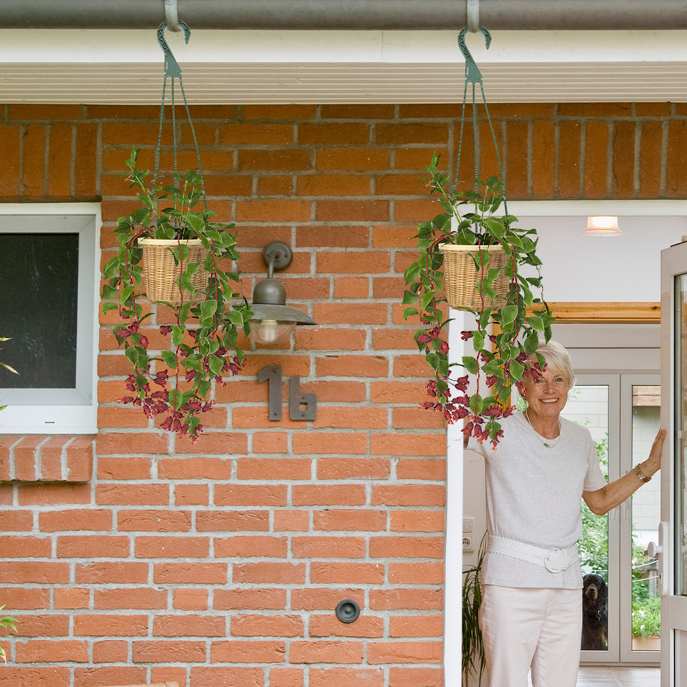 5Pcs Heavy Duty Hanging Basket - Spider Plant Hanging 评论和价格