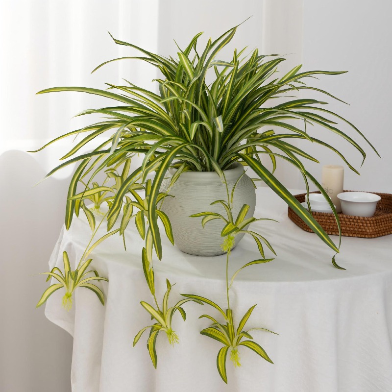 Artificial Spider Plant Chloro - Spider Plant Hanging 评论和价格