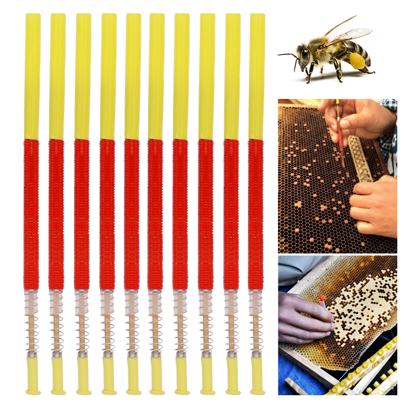 5/10Pcs Beekeeping Grafting To - Begonia Rex 评论和价格