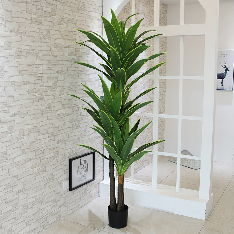 Nordic Wind Large Simulation P - Dracaena Marginata 评论和价格