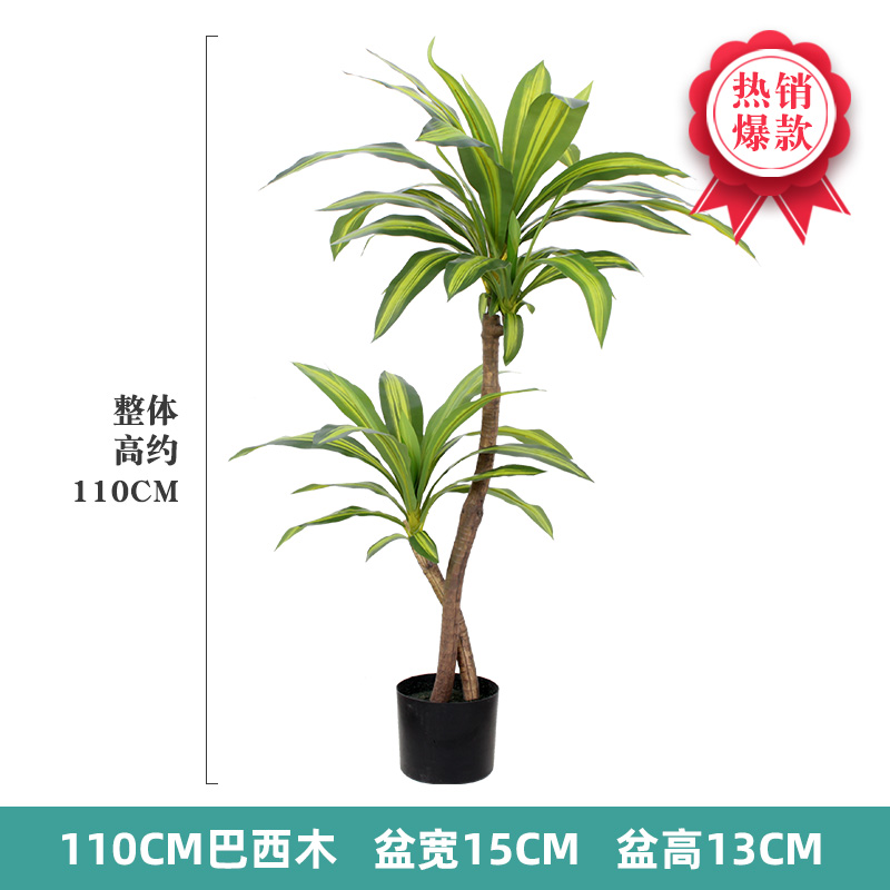 Nordic Wind Large Simulation P - Dracaena Marginata 评论和价格