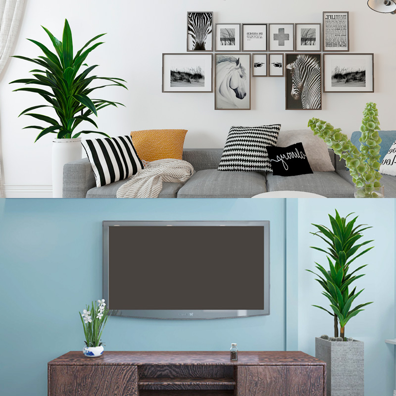 Nordic Wind Large Simulation P - Dracaena Marginata 评论和价格